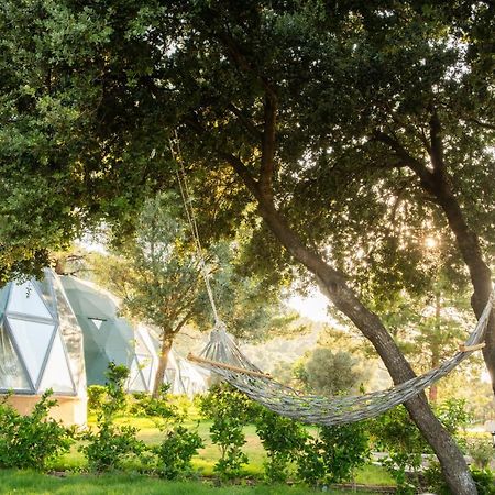 ホテル Lusso Glamping ボドルム エクステリア 写真