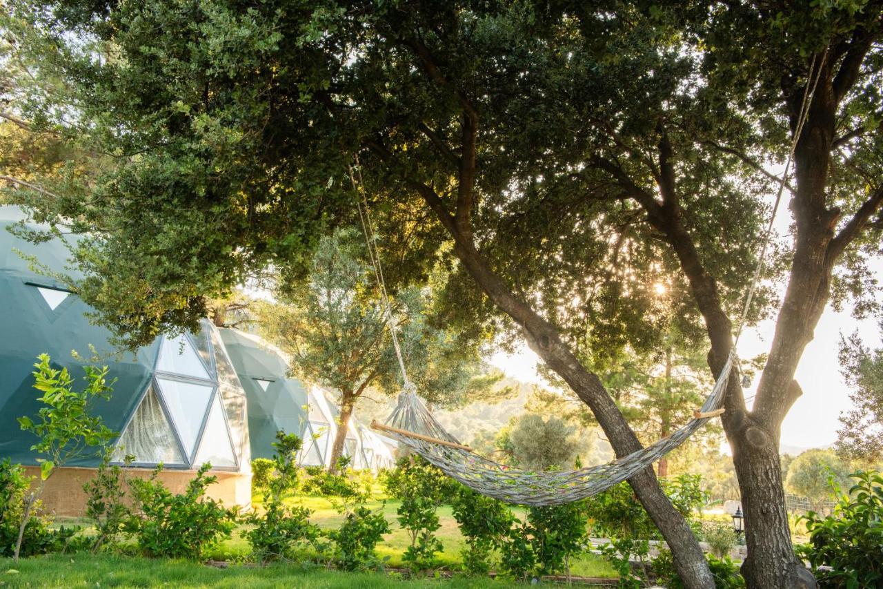 ホテル Lusso Glamping ボドルム エクステリア 写真