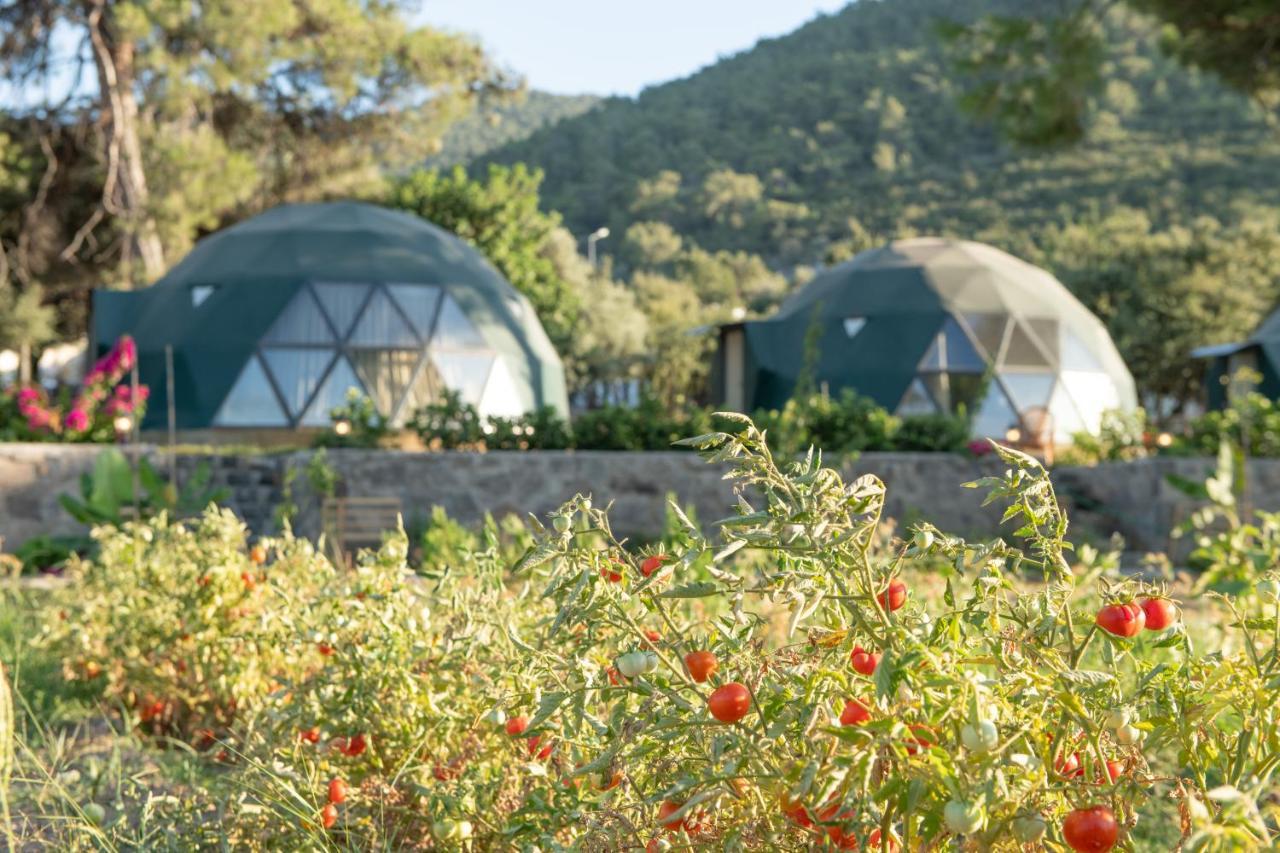 ホテル Lusso Glamping ボドルム エクステリア 写真